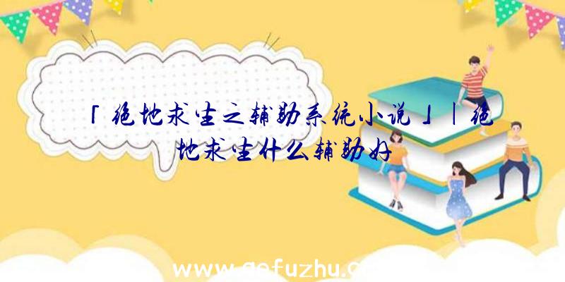 「绝地求生之辅助系统小说」|绝地求生什么辅助好